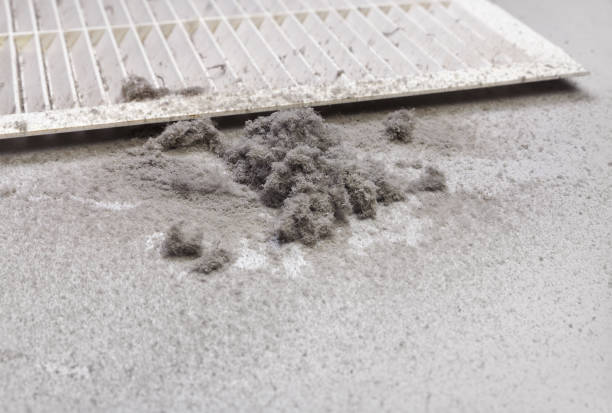 Best Duct Cleaning for Offices  in Alanes Ridge, CA